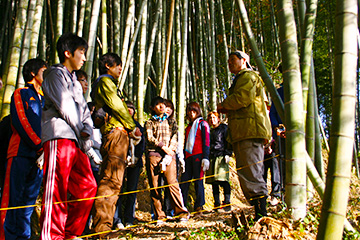 竹林環境の説明風景